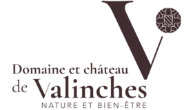 Domaine et Château de Valinches Logo
